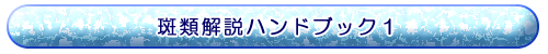 ���މ���n���h�u�b�N�P