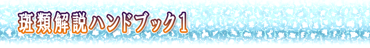 ���މ���n���h�u�b�N�P